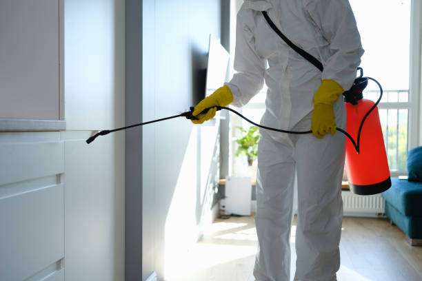 Best HVAC Mold Remediation in Pascoag, RI