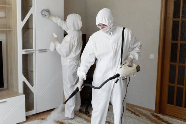 Best Residential Mold Remediation in Pascoag, RI